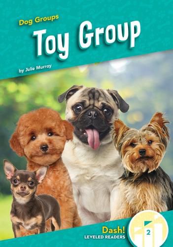 Cover image for Toy Group