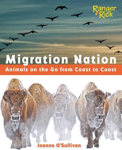 Cover image for Migration Nation (National Wildlife Federation): Animals on the Go from Coast to Coast