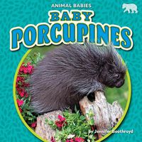 Cover image for Baby Porcupines