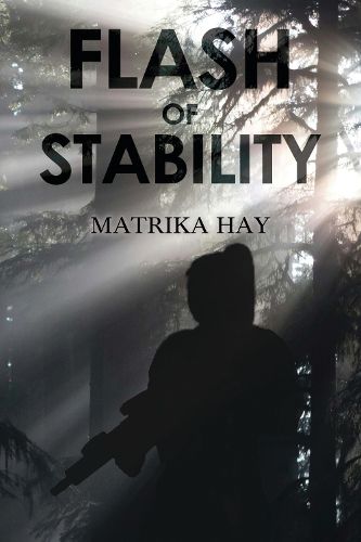 Cover image for Flash of Stability
