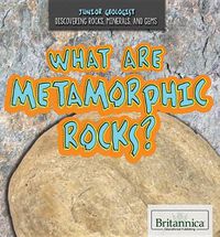 Cover image for What Are Metamorphic Rocks?