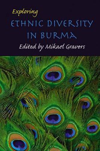 Cover image for Exploring Ethnic Diversity in Burma