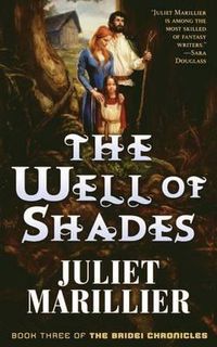 Cover image for The Well of Shades