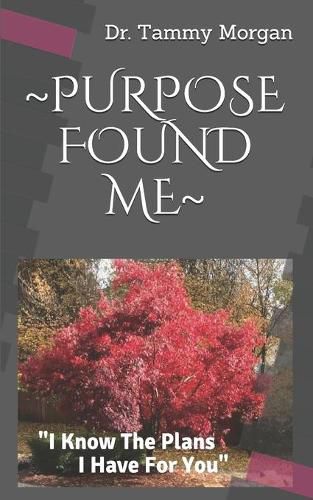 Cover image for Purpose Found Me: I Know The Plans I Have For You