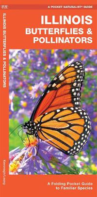 Cover image for Illinois Butterflies & Pollinators: A Folding Pocket Guide to Familiar Species