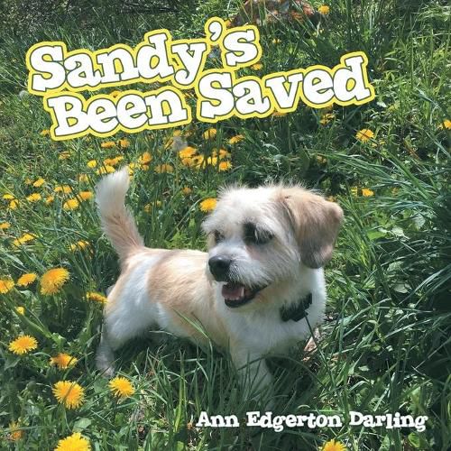 Cover image for Sandy's Been Saved