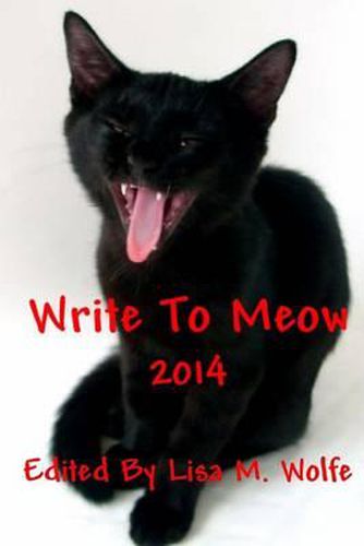 Cover image for Write to Meow: 2014