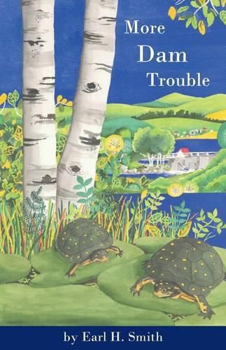 Cover image for More Dam Trouble