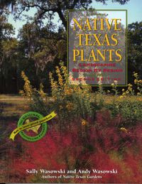 Cover image for Native Texas Plants: Landscaping Region by Region