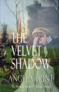 Cover image for The Velvet Shadow