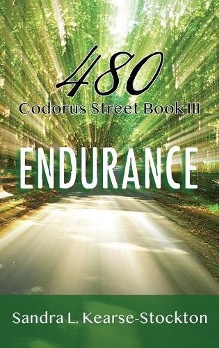 Cover image for Endurance