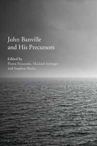 Cover image for John Banville and His Precursors