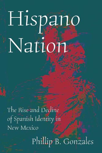 Cover image for Hispano Nation