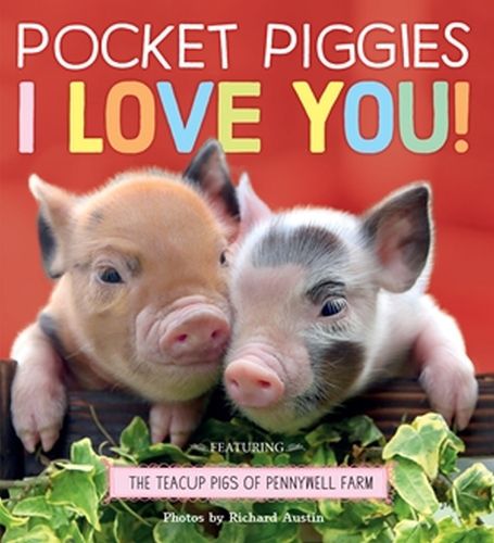 Cover image for Pocket Piggies: I Love You!