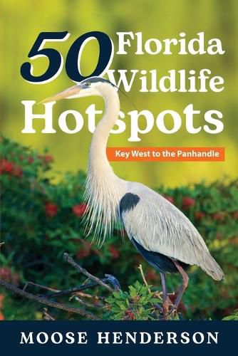 Cover image for 50 Florida Wildlife Hotspots: A Guide for Photographers and Wildlife Enthusiasts