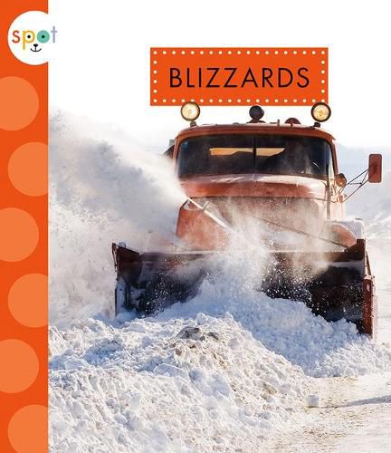 Cover image for Blizzards