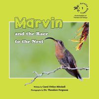 Cover image for Marvin and the Race to the Nest