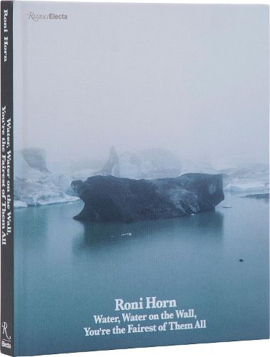 Cover image for Roni Horn
