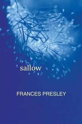 Cover image for Sallow