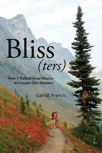 Cover image for Bliss(ters): How I walked from Mexico to Canada one summer