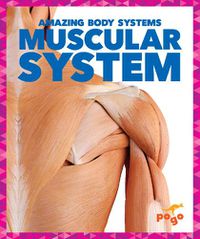 Cover image for Muscular System