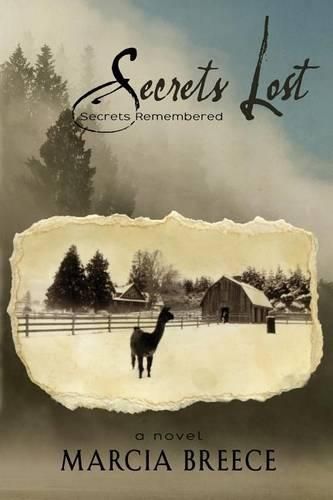 Cover image for Secrets Lost: Secrets Remembered