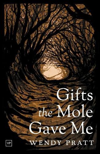 Cover image for Gifts the Mole Gave Me