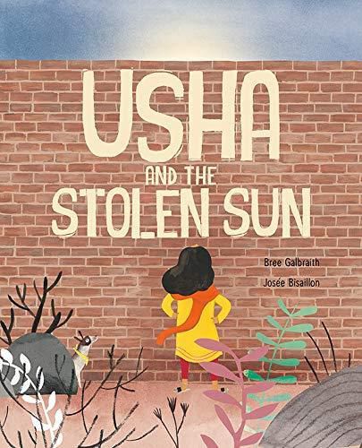 Cover image for Usha and the Stolen Sun