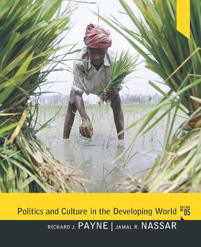 Cover image for Politics and Culture in the Developing World