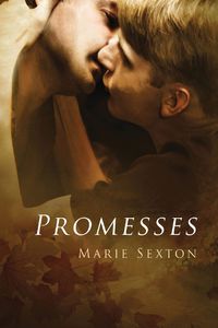 Cover image for Promesses
