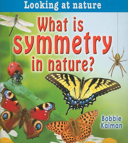 Cover image for What is symmetry in nature?