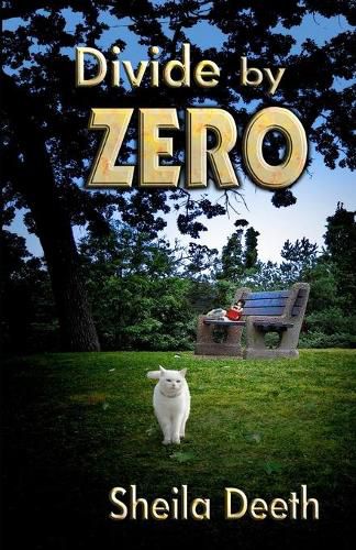 Cover image for Divide by Zero