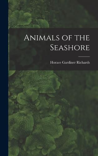 Cover image for Animals of the Seashore