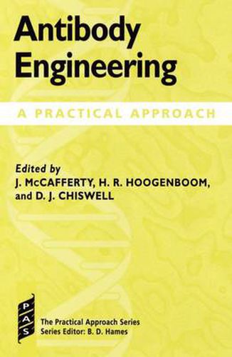 Antibody Engineering: A Practical Approach