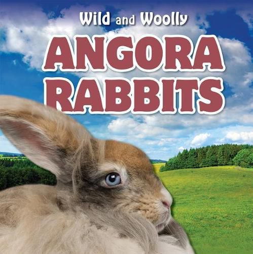 Cover image for Angora Rabbits