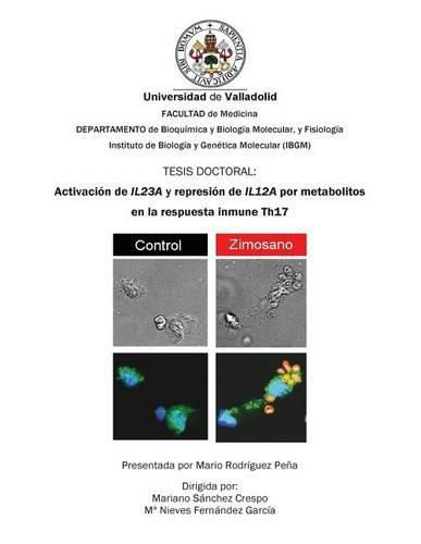 Cover image for Activacion de Il23a Y Represion de Il12a Por Metabolitos En La Respuesta Inmune Th17