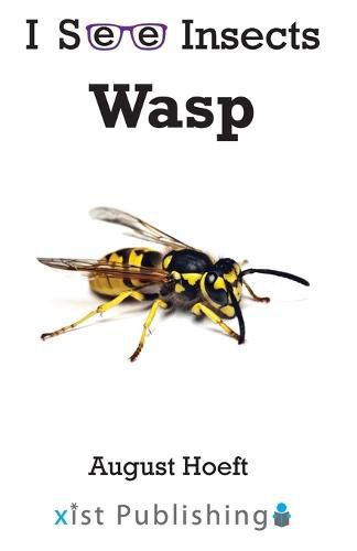 Wasp