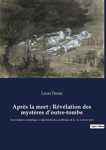 Cover image for Apres la mort