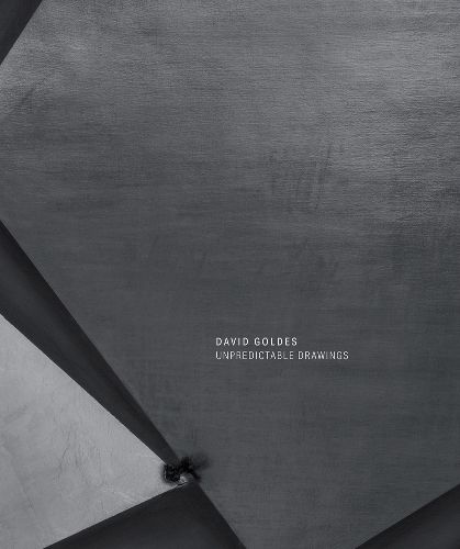 Cover image for David Goldes: Unpredictable Drawings