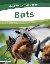 Cover image for Neighborhood Safari: Bats