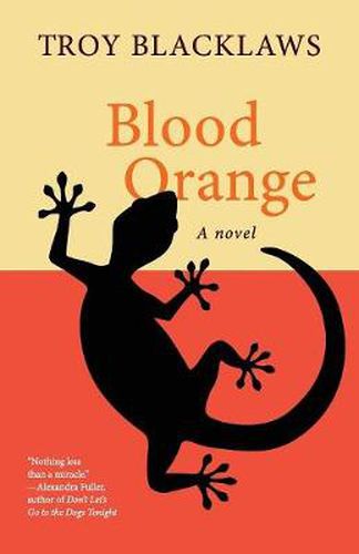 Cover image for Blood Orange: A Novel