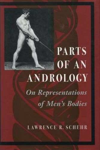 Cover image for Parts of an Andrology: On Representations of Men's Bodies