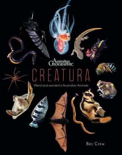Cover image for Creatura: Strange Behaviours and Special Adaptations