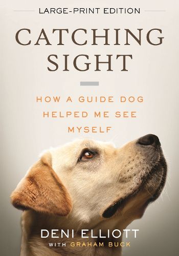 Cover image for Catching Sight (LARGE PRINT EDITION)