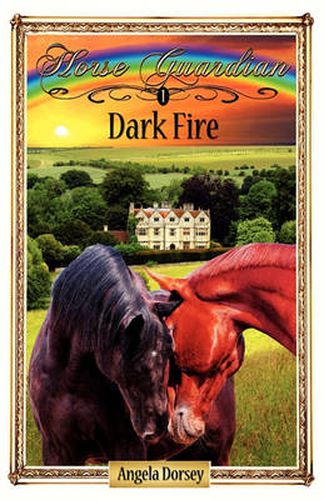 Cover image for Dark Fire