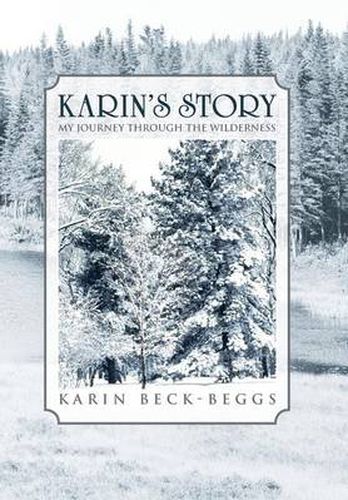 Cover image for Karin's Story