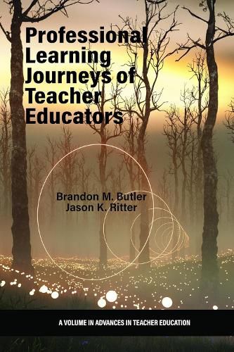 Cover image for Professional Learning Journeys of Teacher Educators