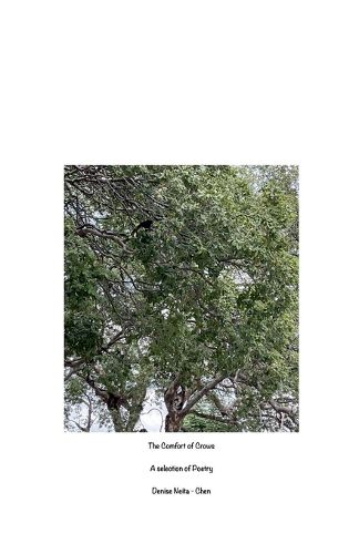 Cover image for The Comfort of Crows