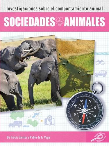 Cover image for Sociedades Animales