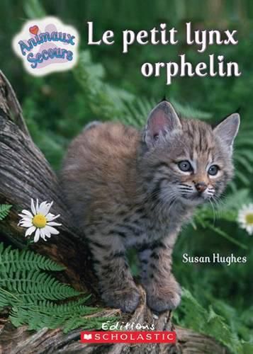 Le Petit Lynx Orphelin